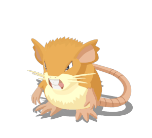 Raticate