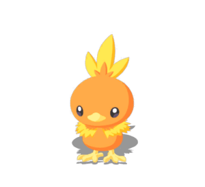 Torchic